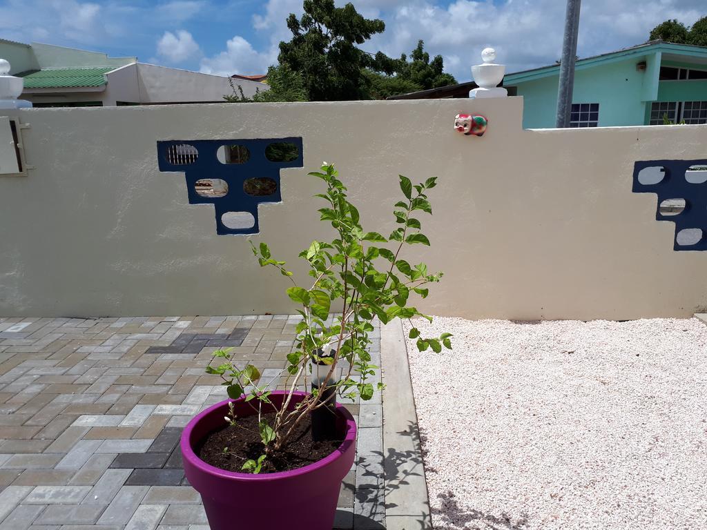 The Lush Apartman Willemstad Kültér fotó